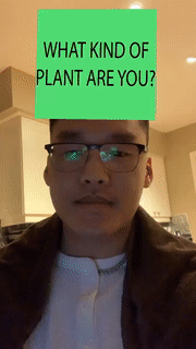 What Plant Are You?